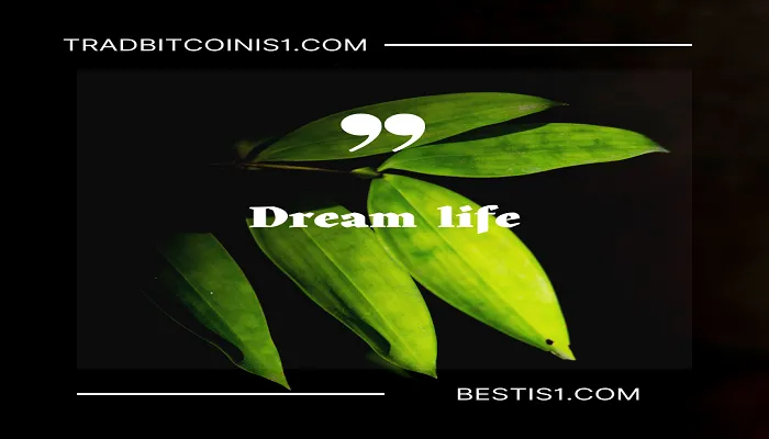 Dream life