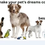 How to achieve your pet's dreams with planned pethood