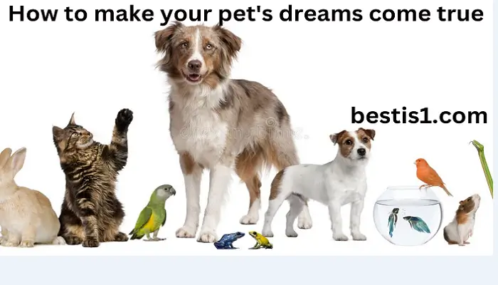 How to achieve your pet's dreams with planned pethood