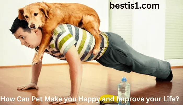 How Can Pet Make you Happy and Improve your Life