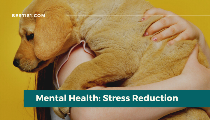 Mental Health: Stress Reduction