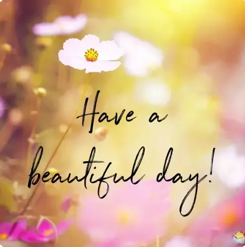 have a beautiful day