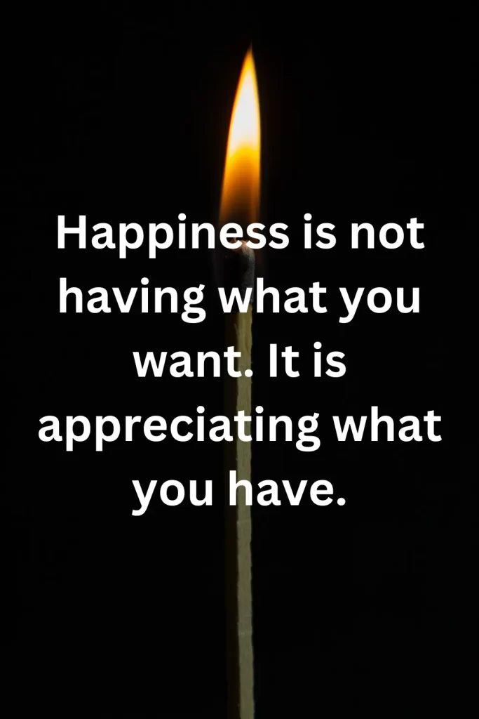 Happiness is not having what you want. It is appreciating what you have.