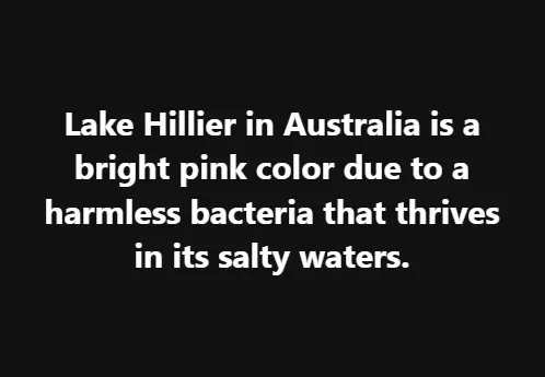 Lake Hillier in Australia is a bright pink color due to a harmless bacteria that thrives in its salty waters.