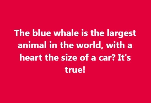 The blue whale is the largest animal in the world, with a heart the size of a car It's true!