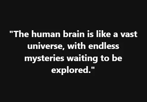 The human brain is like a vast universe, with endless mysteries waiting to be explored.