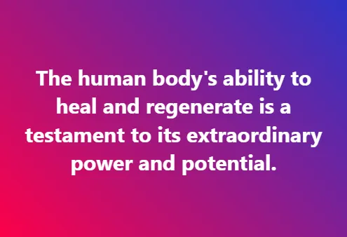 The human body's ability to heal and regenerate is a testament to its extraordinary power and potential.