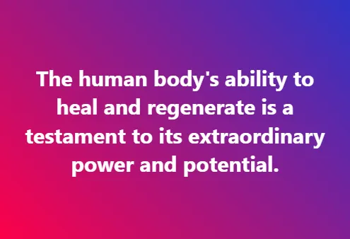 The human body's ability to heal and regenerate is a testament to its extraordinary power and potential.
