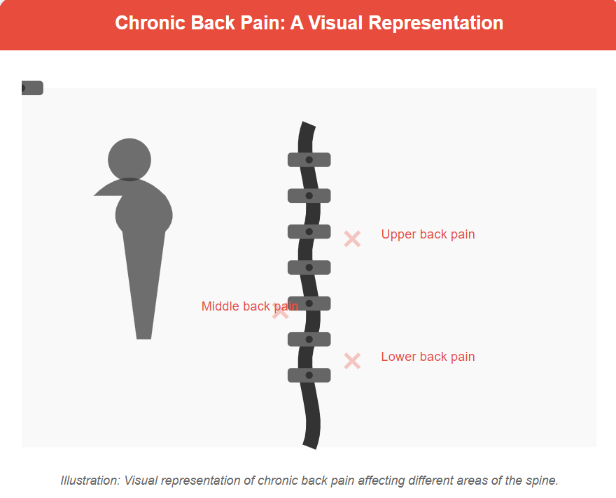 Chronic Back Pain A Visual Representation