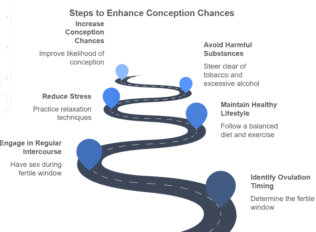 Maximizing Chances of Conception