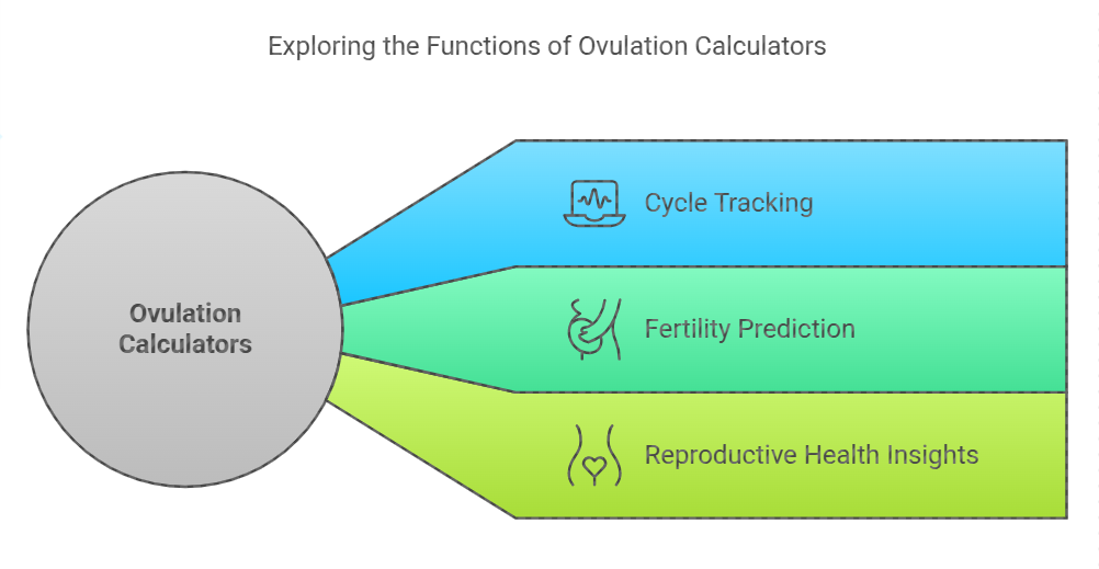 Ovulation Calculators