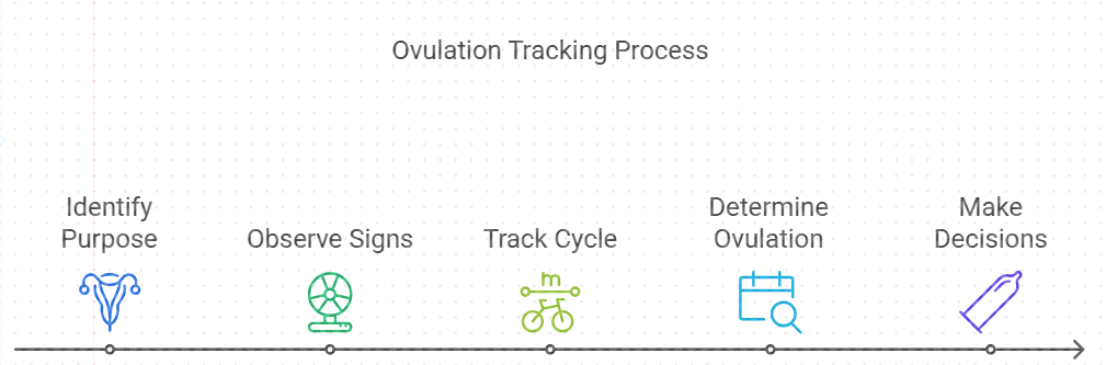 Determining Ovulation Date